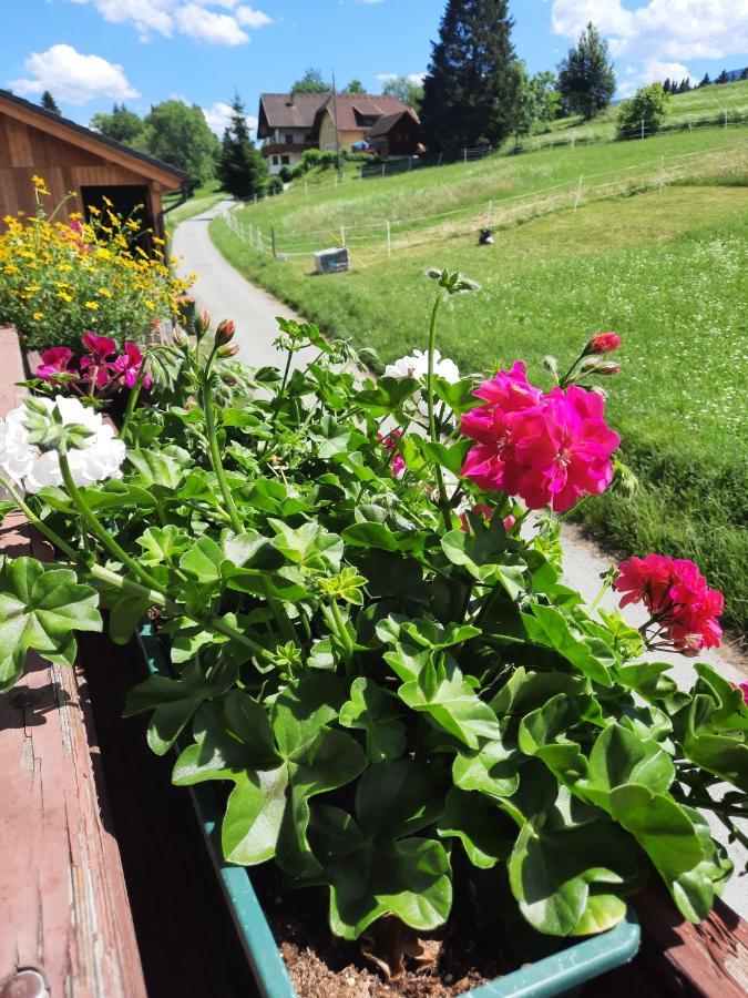 Naturidyll Brunner Kostendorf Bagian luar foto